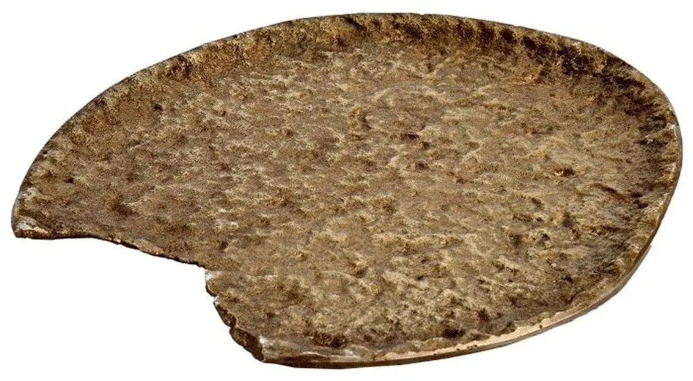 Διακοσμητικός Δίσκος Forleyet 427024 20x18x1cm Gold Eglo Aluminium