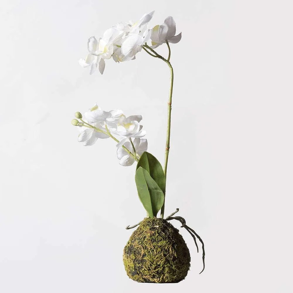 Τεχνητό Φυτό Ορχιδέα Με Βάση Moss 6070-6 20x20x40cm White Supergreens Polyethylene