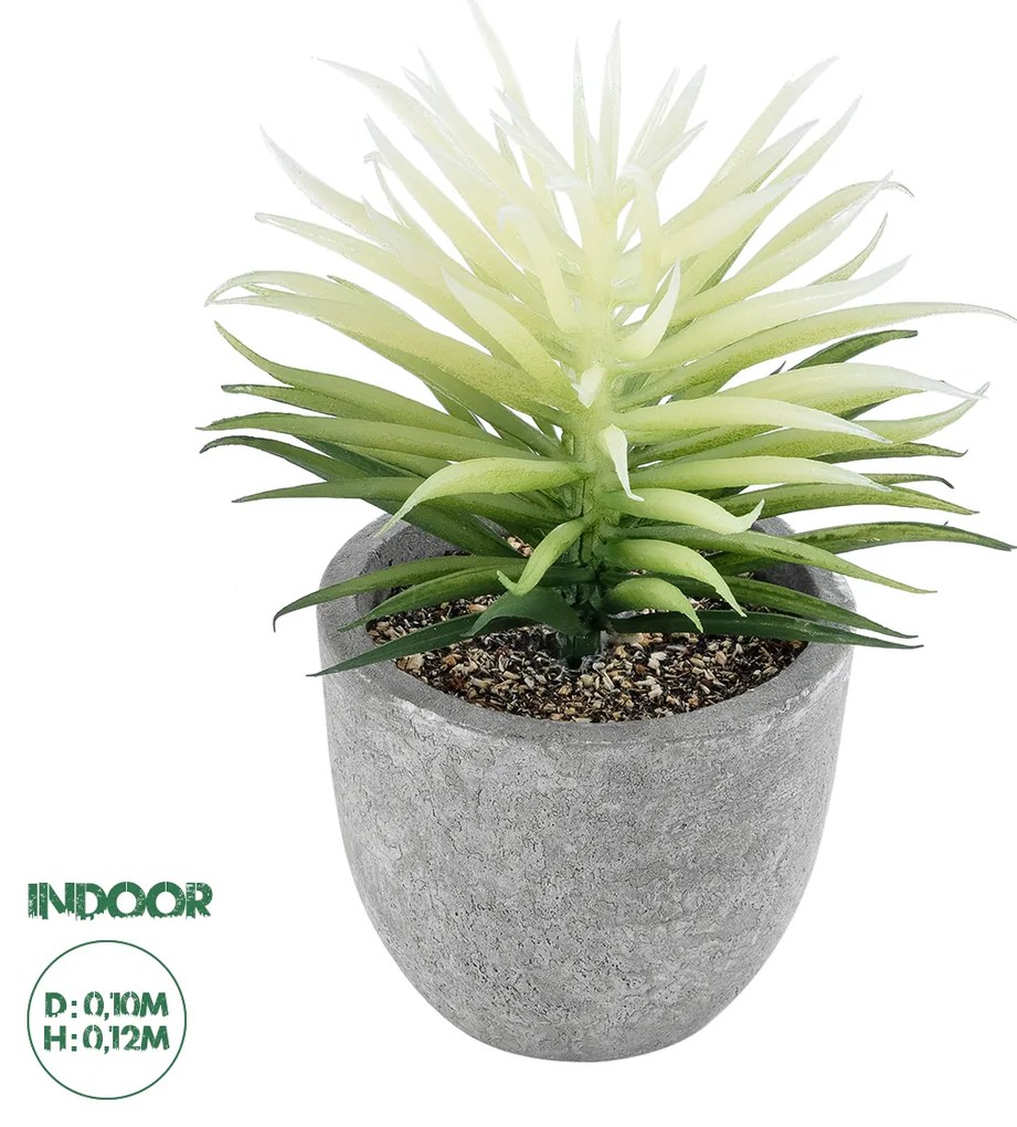 GloboStar® Artificial Garden SUCCULENT SENECIO 21024 Διακοσμητικό Φυτό Παχύφυτο Σενέκιο Υ12cm