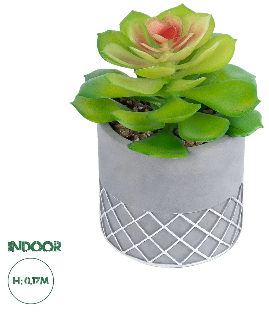 GloboStar® Artificial Garden SUCCULENT SEDEVERIA 21095 Διακοσμητικό Φυτό Παχύφυτο Σεντεβέρια Υ17cm