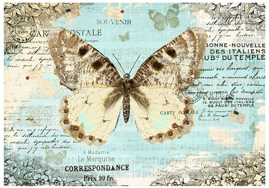 Φωτοταπετσαρία - Postcard with butterfly 100x70