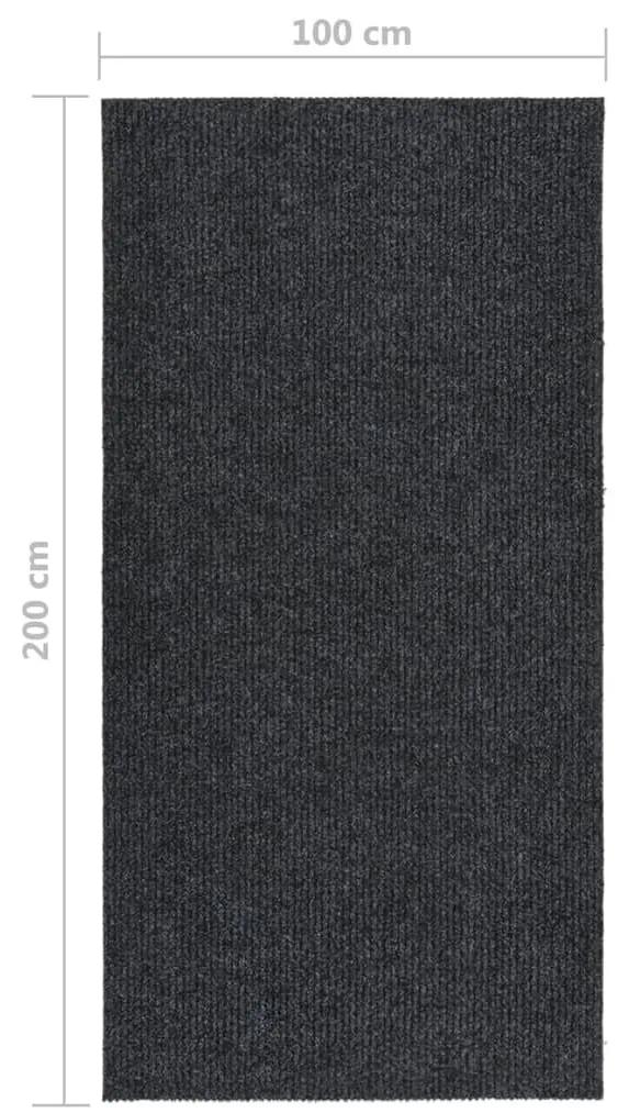 Χαλί Διάδρομος / Συλλέκτης Βρωμιάς Ανθρακί 100 x 200 εκ. - Ανθρακί