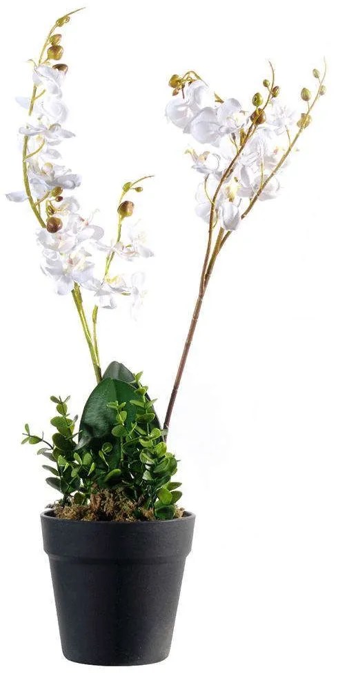 Τεχνητό Φυτό Ορχιδέα Phalaenopsis 2670-6 27x50cm White Supergreens Πολυαιθυλένιο
