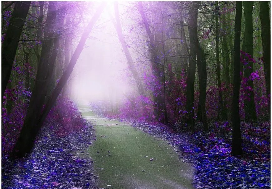 Αυτοκόλλητη φωτοταπετσαρία - Purple path - 343x245