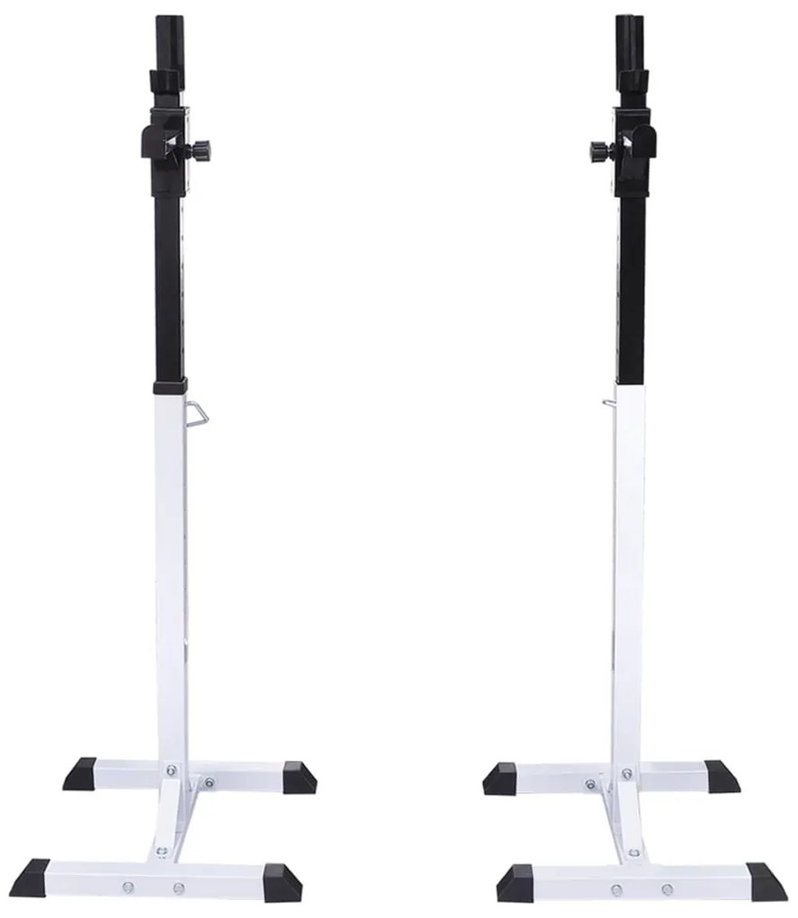 vidaXL Ορθοστάτης Μπάρας/Squat Rack με Σετ Μπάρα και Αλτήρες 30,5 κ.