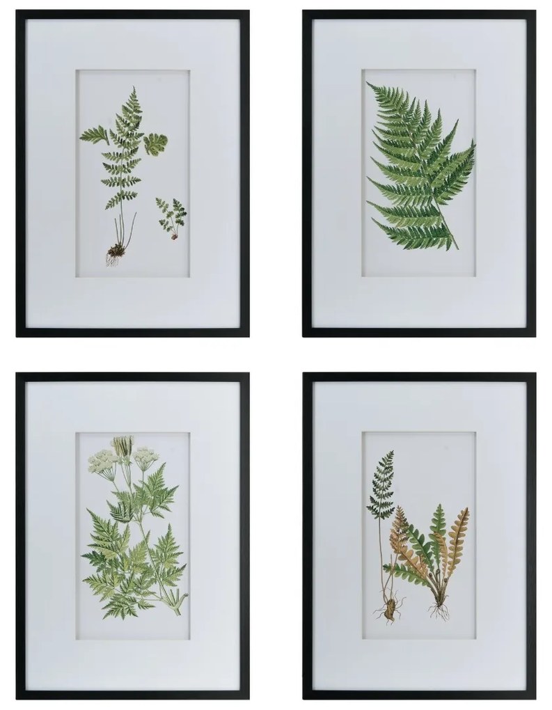 Artekko Botanical Πίνακας με Κορνίζα Πλαστικό Γυαλί Μαύρο Πράσινο (50x3x70)cm Σετ/4