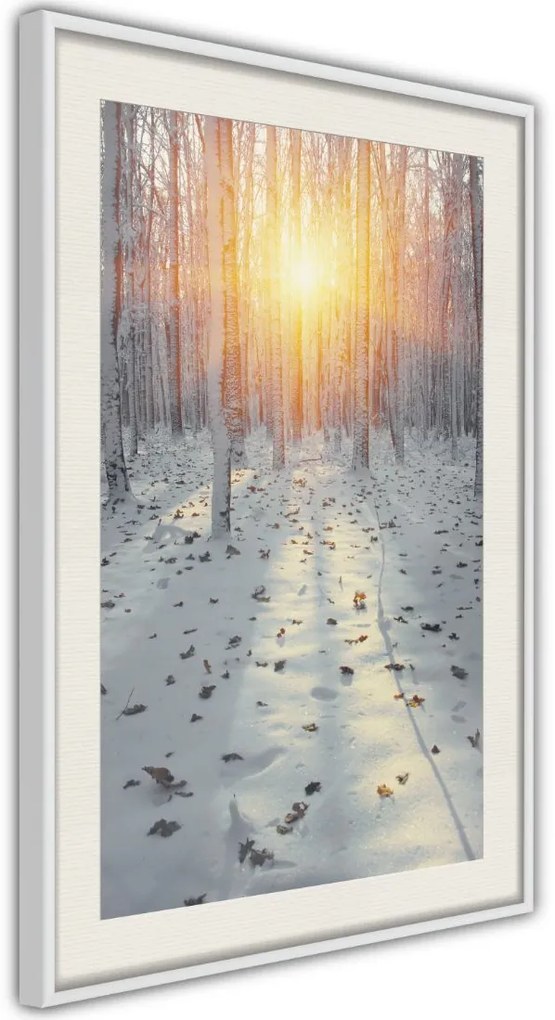 Αφίσα - Frosty Sunset - 20x30 - Χρυσό - Χωρίς πασπαρτού