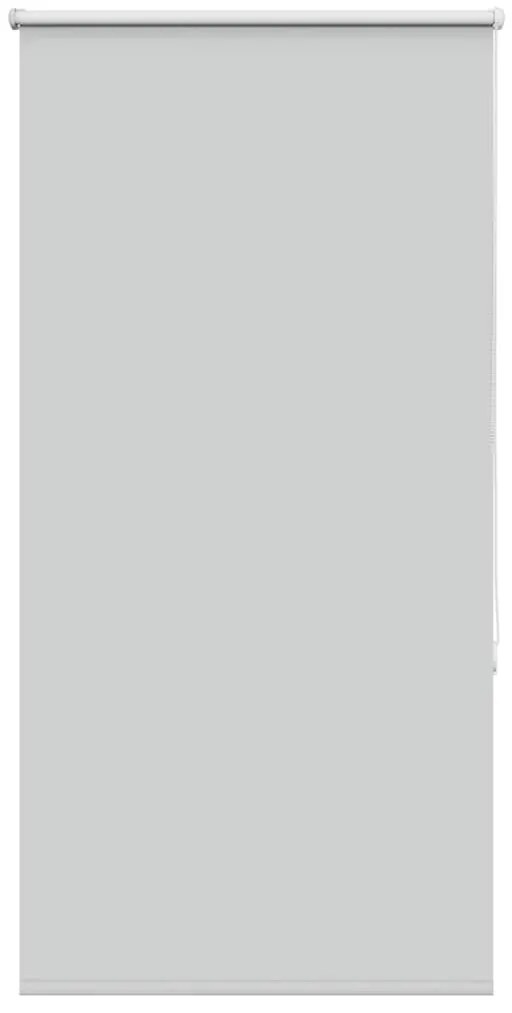 vidaXL Ρολέρ Μπλακάουτ ανοιχτό γκρι 75x130 cm Πλάτος υφάσματος 70,7cm