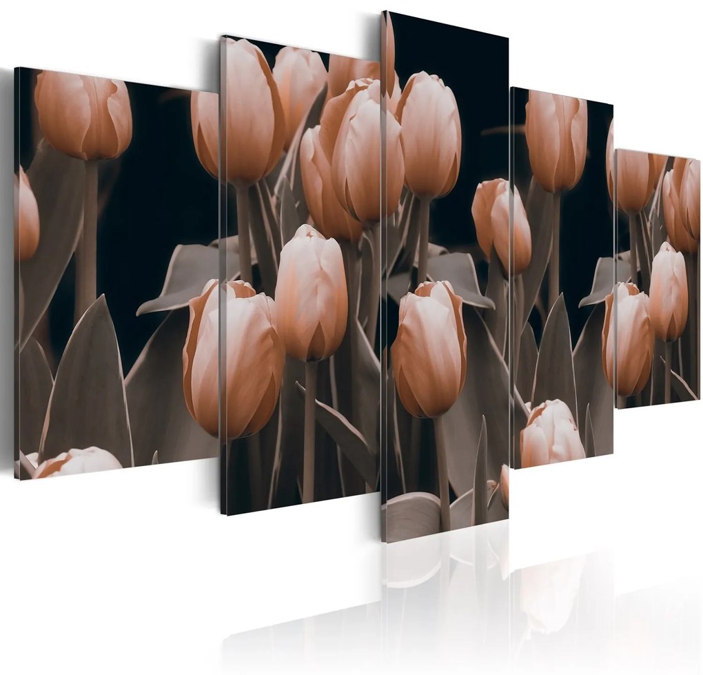 Πίνακας - Tulips in sepia 100x50