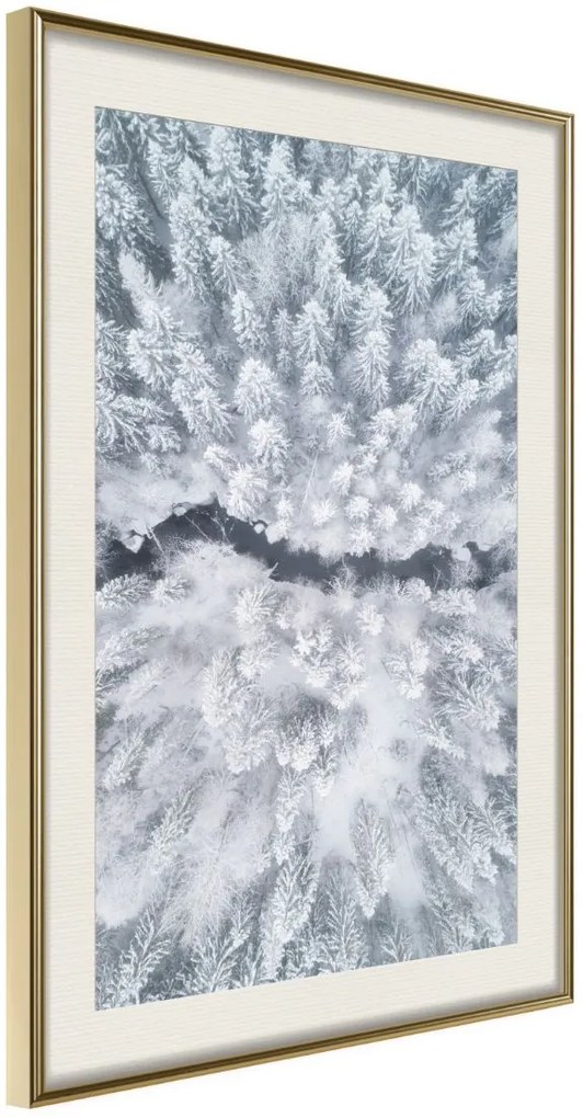 Αφίσα - Winter Forest From a Bird's Eye View - 20x30 - Χρυσό - Με πασπαρτού