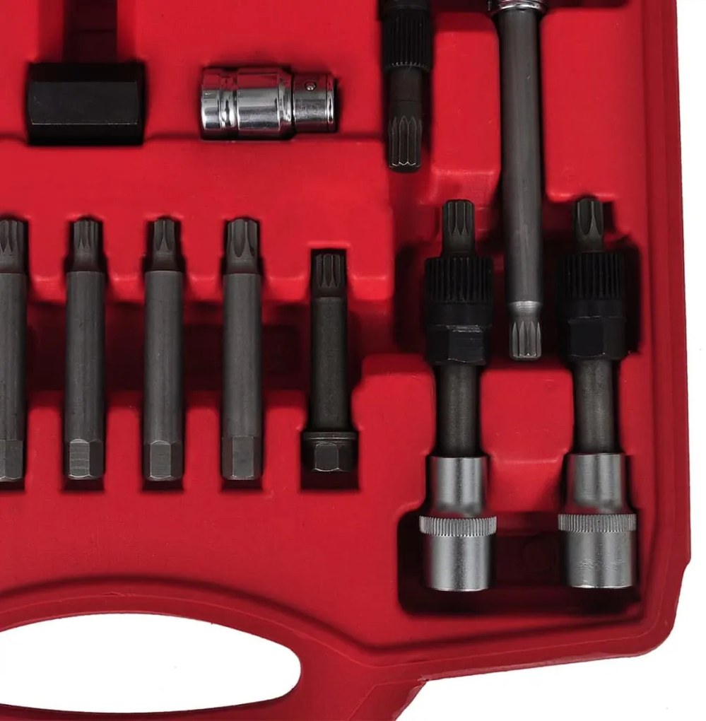 Σετ 22 τεμ. Εργαλείων Αφαίρεσης Τροχαλίας Δυναμό