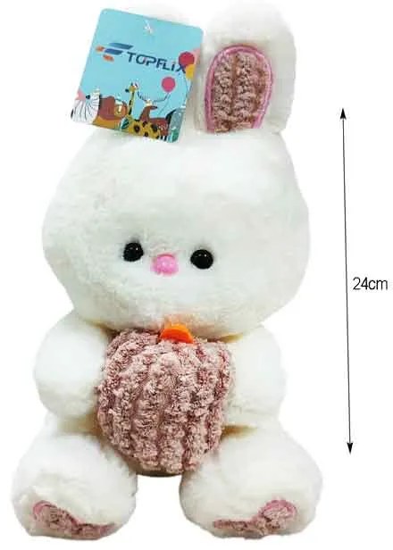 Λούτρινο Λαγουδάκι - Plush Bunny