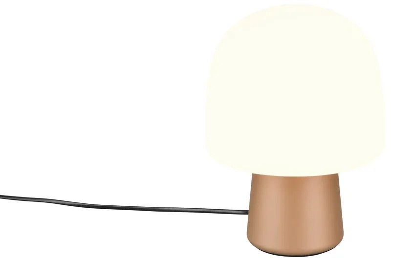 Φωτιστικό Επιτραπέζιο Trio Lighting STEEN 568200165 Καφετί (Coffee)