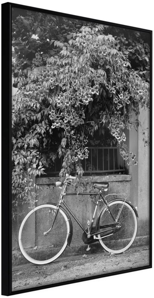 Αφίσα - Bicycle with White Tires - 30x45 - Μαύρο - Χωρίς πασπαρτού