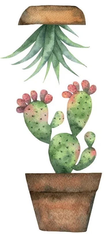 Διακοσμητικά αυτοκόλλητα τζαμιού Cactus S