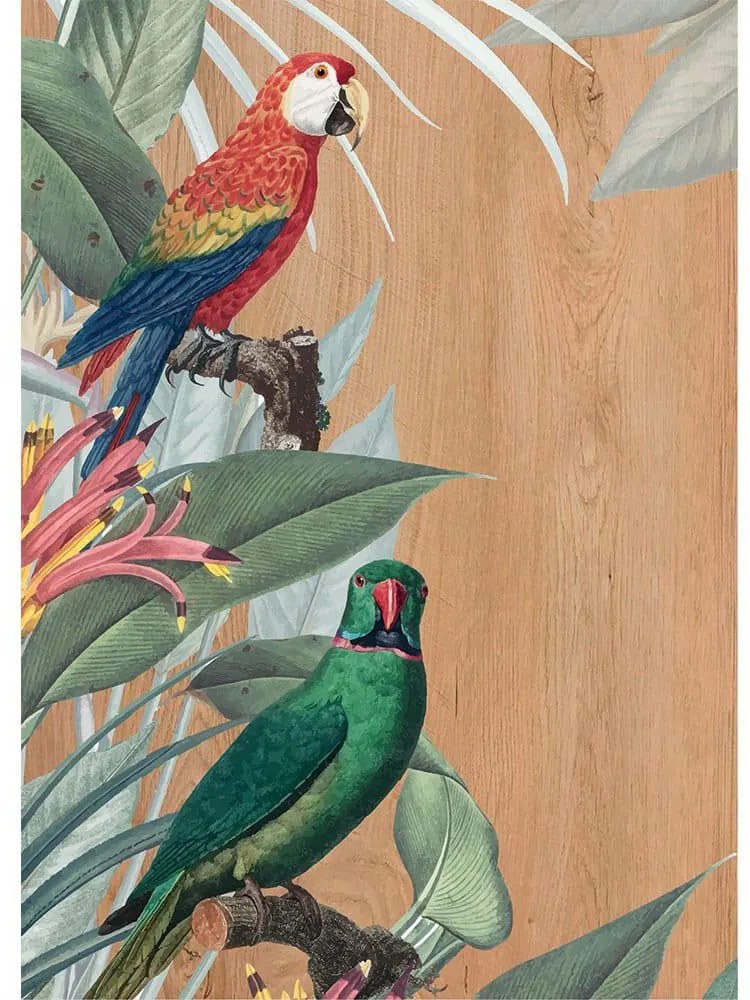 Red &amp; Green Parrots πίνακας διακόσμησης 67 x 47 x 0,60 εκ (21658) - 21658