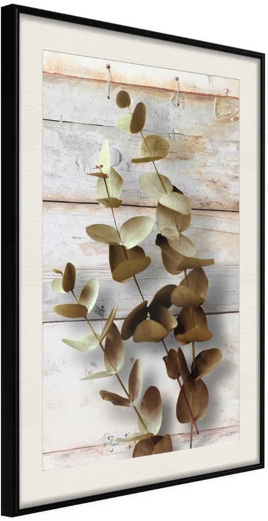 Αφίσα - Decorative Twigs - 40x60 - Μαύρο - Με πασπαρτού