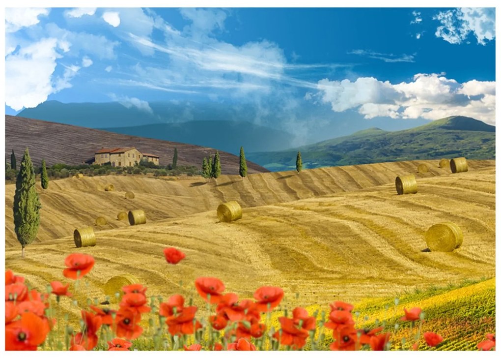 Φωτοταπετσαρία - Autumn landscape 200x140