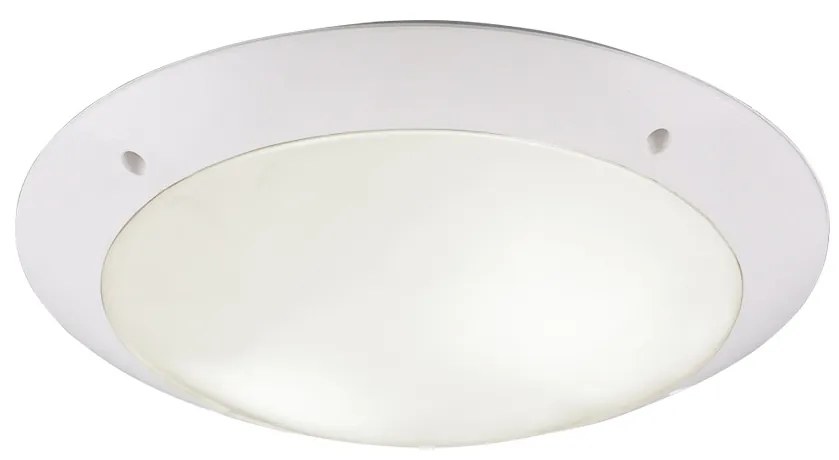 Φωτιστικό Οροφής Reality Lighting -RL CAMARO R60502031 Λευκό Ματ (White Mat)