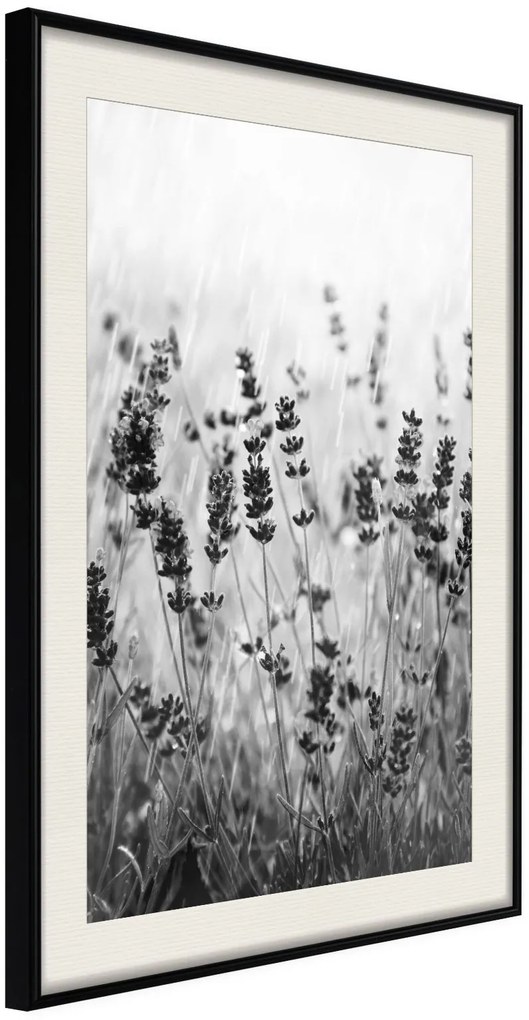 Αφίσα - Shadow of Meadow - 20x30 - Μαύρο - Με πασπαρτού