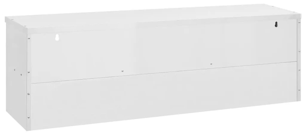 vidaXL Ερμάριο Τοίχου 150 x 40 x 50 εκ. Ανοξείδωτο Ατσάλι