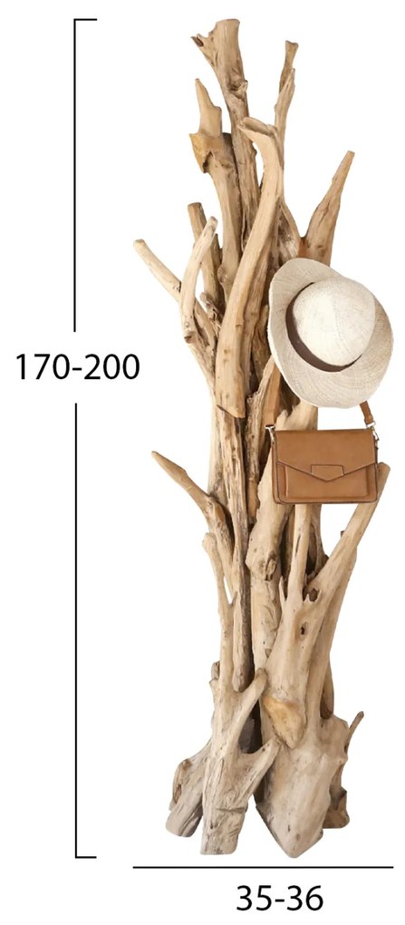 ΚΑΛΟΓΕΡΟΣ HM9367 ΑΠΟ ΜΑΣΙΦ ΞΥΛΟ TEAK ΦΥΣΙΚΟ 170-200ΕΚ. - 0503214 - HM9367