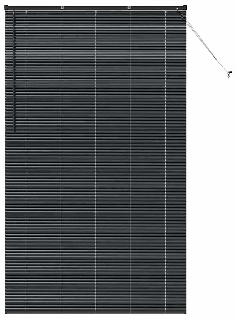 vidaXL Ρολό Παραθύρου με κουρτίνες Άλλο Μαύρο 135 x 220 εκ. Αλουμίνιο