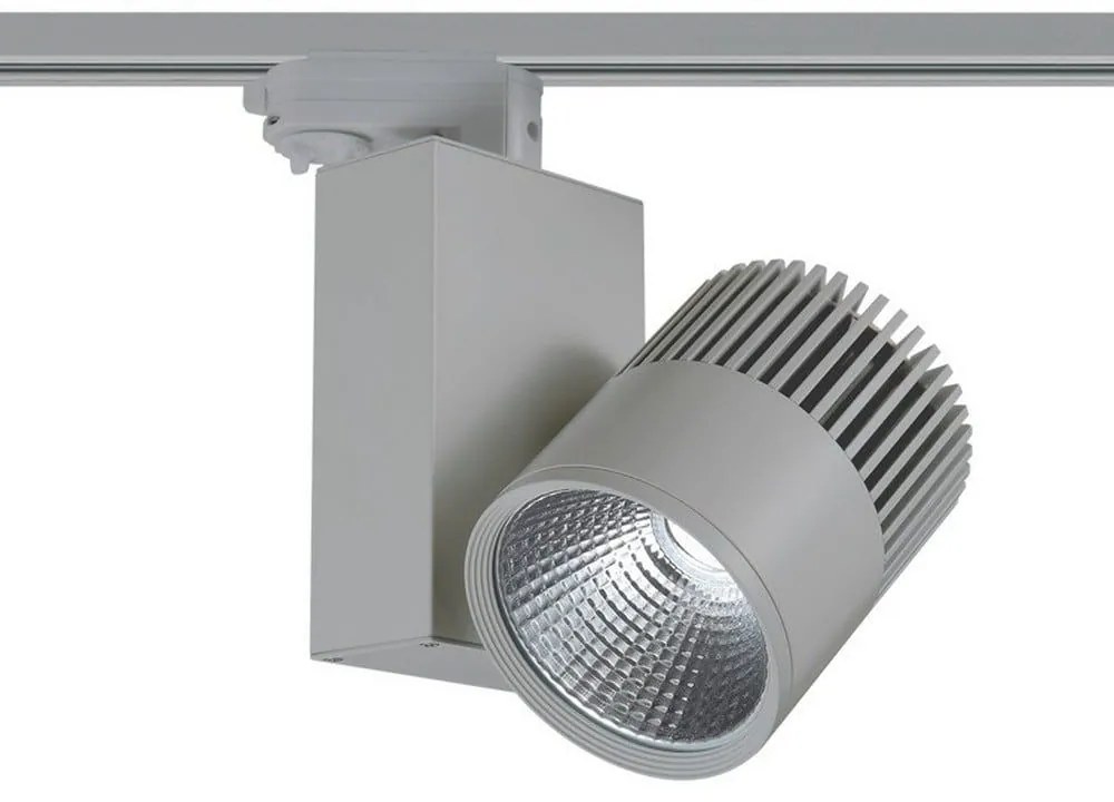 Σποτ Ράγας 4 Καλωδίων Bienal4530G4 45W 3000K 3200lm Grey Aca Aluminium