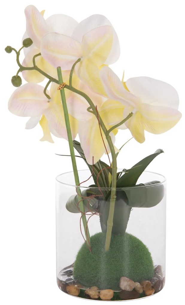 Διακοσμητικό Συνθετικό Φυτό Λουλούδι PHALAENOPSIS C4738 σε Γυάλινο Βάζο 12x24x30Υεκ 12x24x30 εκ.