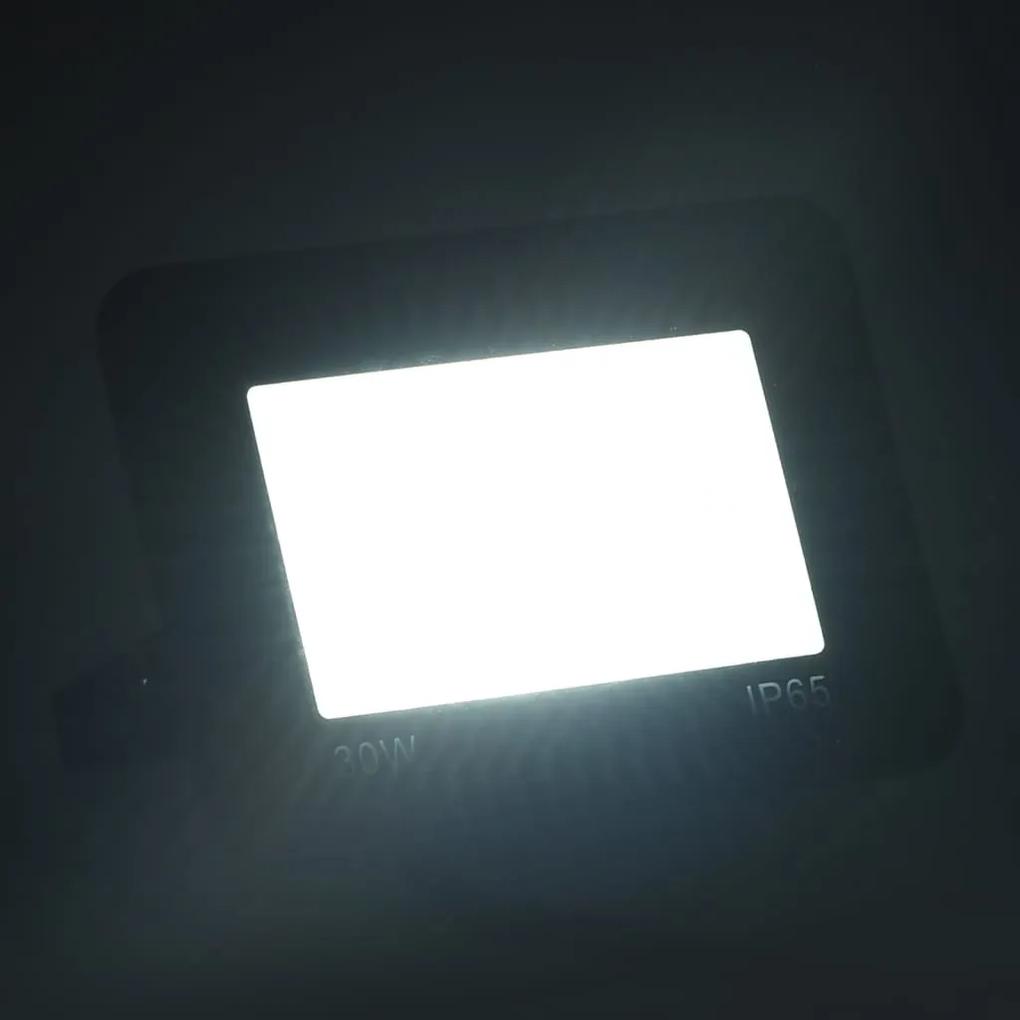 vidaXL Προβολέας LED Ψυχρό Λευκό 30 W