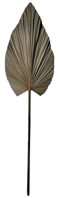 Διακοσμητικό φύλλο Leafen I φυσικό palm leaf 130εκ