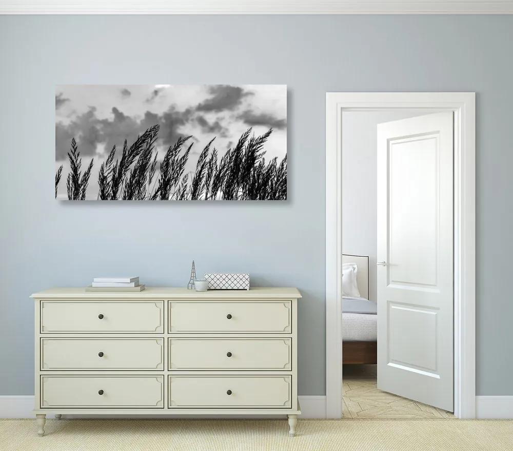 Εικόνα γρασίδι σε μαύρο & άσπρο - 100x50