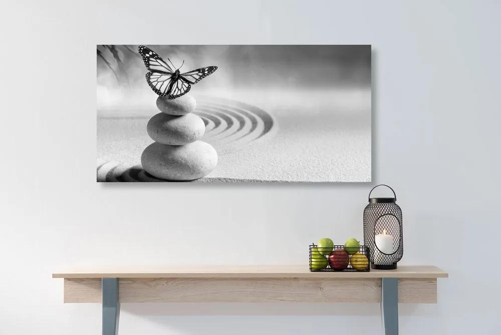 Ισορροπία εικόνας από πέτρες και πεταλούδα σε ασπρόμαυρο σχέδιο - 100x50