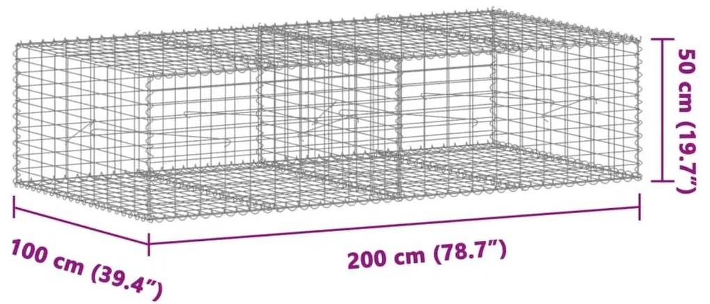 Συρματοκιβώτιο με Κάλυμμα 200x100x50εκ. από Γαλβανισμένο Χάλυβα - Ασήμι