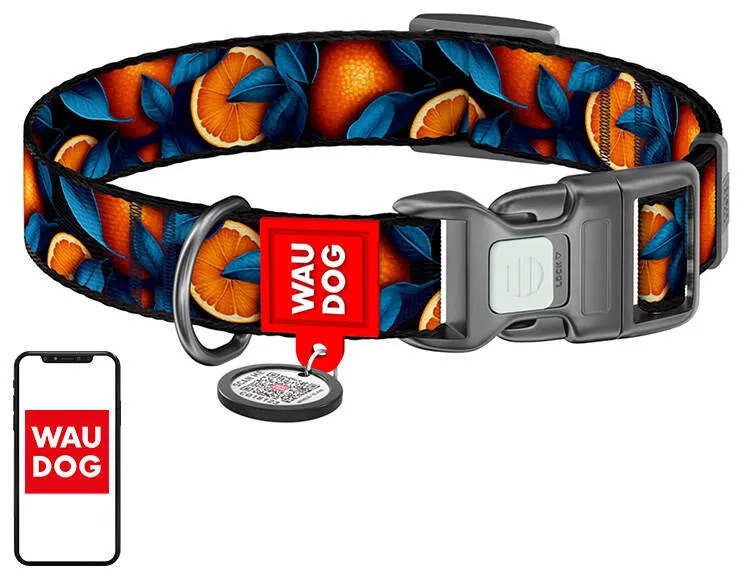 Nylon dog collar with QR code Waudog "Oranges" size M
