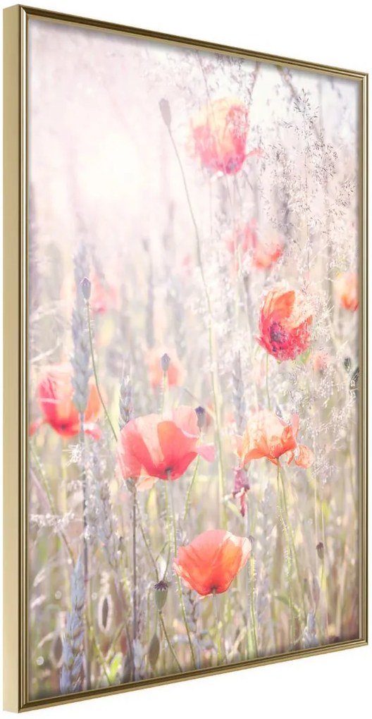 Αφίσα - Poppies - 30x45 - Χρυσό - Χωρίς πασπαρτού