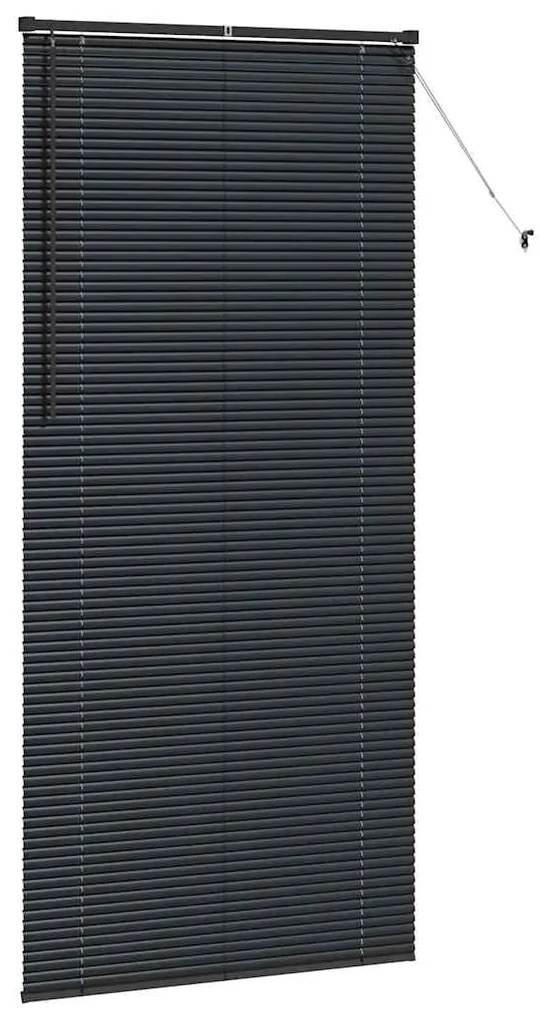 vidaXL Ρολό Παραθύρου με κουρτίνες Άλλο Μαύρο 100 x 220 εκ. Αλουμίνιο