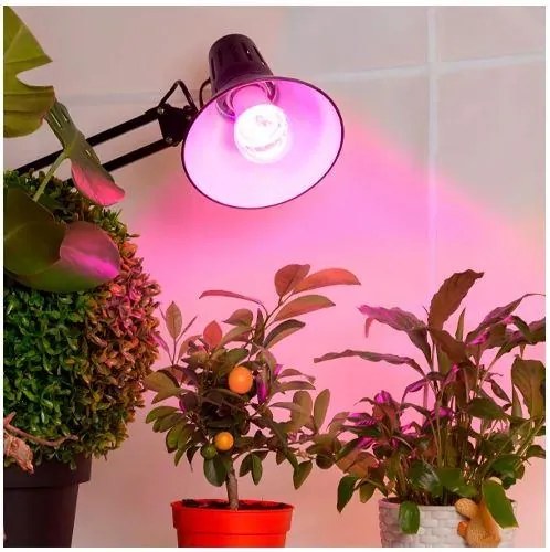 Light Bulb|VISIONAL|Power consumption 8 Watts|Beam angle 360 degrees|04-219