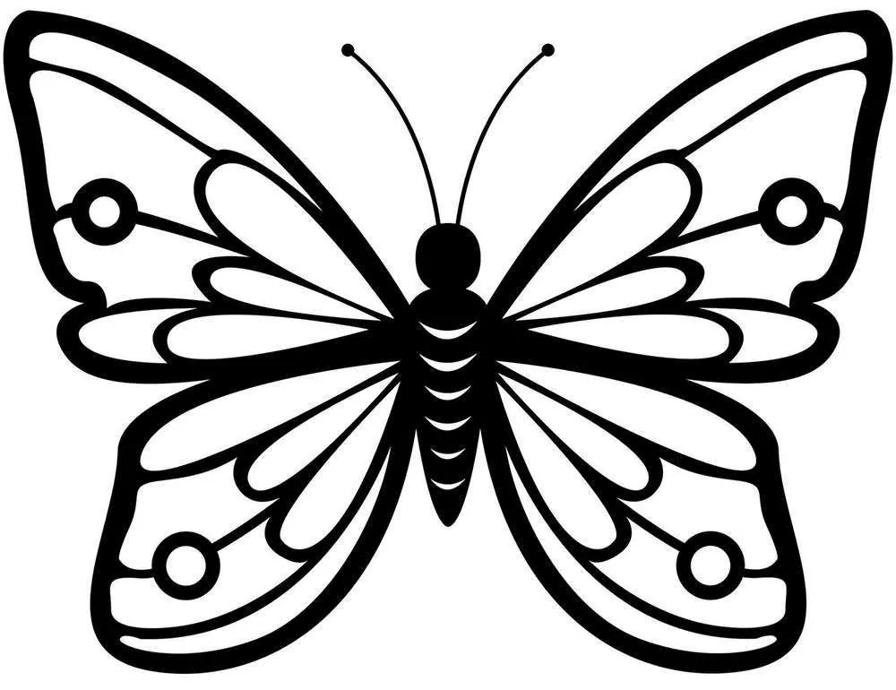 Διακοσμητικό Τοίχου Butterfly 891TNL1754 60x45cm Black Wallity Metal