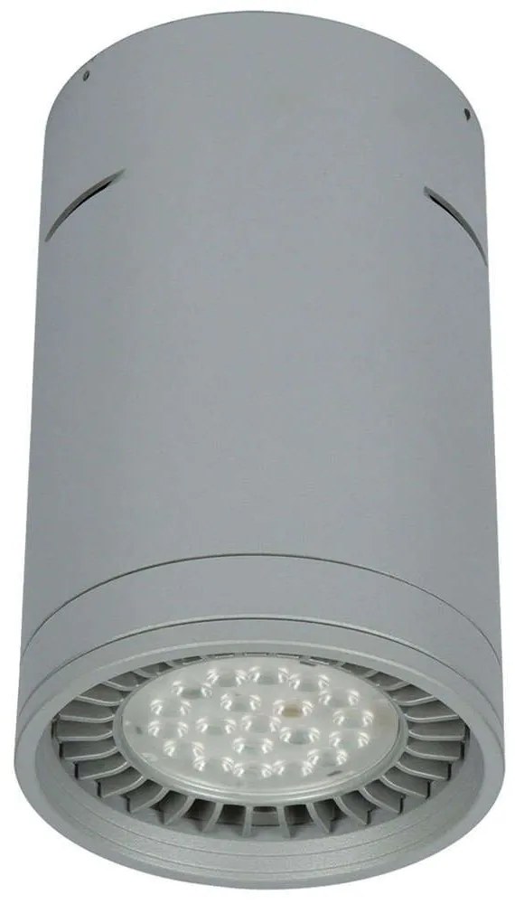 Σποτ Οροφής VK/04053CE/G/L 12x19cm 1xGU10 50W Grey VKLed