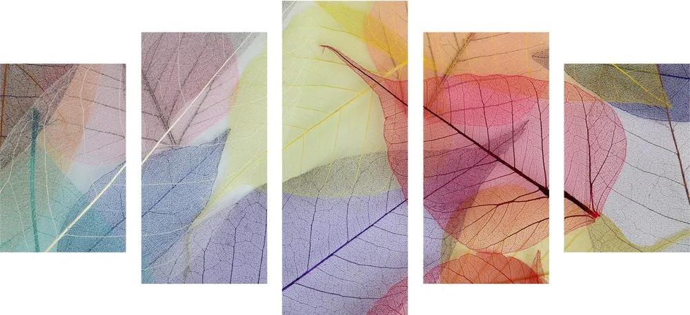 Εικόνα 5 μερών γυναίκα σε χρωματιστά φύλλα - 100x50