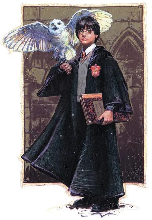 Εκτύπωση τέχνης Harry Potter with Hedvig - Art, (26.7 x 40 cm)