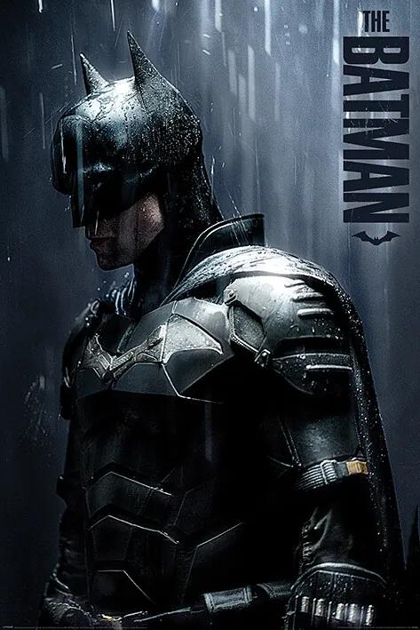 Αφίσα The Batman - Downpour, (61 x 91.5 cm)