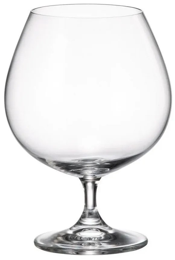 Ποτήρι Ποτού Κολωνάτο 690ml Crystal Bohemia Colibri
