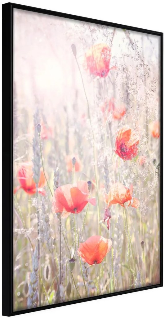 Αφίσα - Poppies - 20x30 - Μαύρο - Χωρίς πασπαρτού