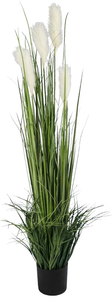 GloboStar® Artificial Garden PAMPAS GRASS 20106 Τεχνητό Διακοσμητικό Φυτό Γρασίδι της Πάμπας Υ150cm