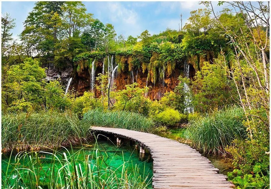 Αυτοκόλλητη φωτοταπετσαρία - Green oasis - 294x210