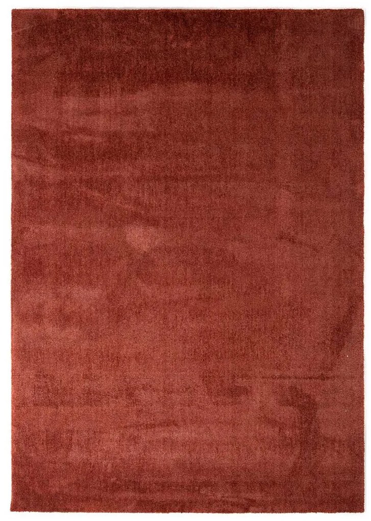 Χαλί (160x230) Royal Carpet Feel 71351/013