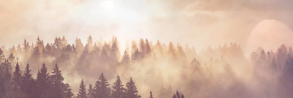 Εικόνα ομίχλης πάνω από το δάσος - 120x40
