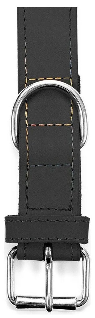 Κολλάρο Σκύλου Gloria Oasis Μαύρο 60 cm (60 x 3 cm)